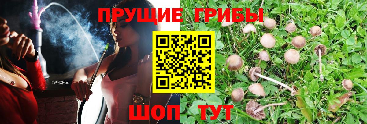 Галлюциногенные грибы MAGIC MUSHROOMS Луга