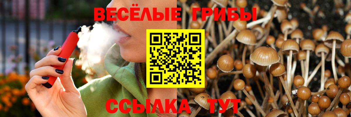 Луга  Галлюциногенные грибы MAGIC MUSHROOMS  Вход с VPN 