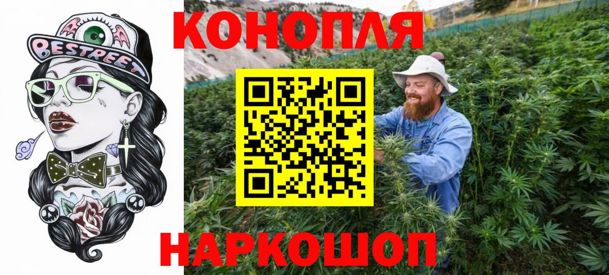 Каннабис SATIVA & INDICA Луга